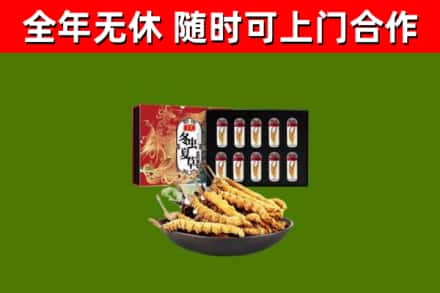 临淄回收冬虫夏草价格