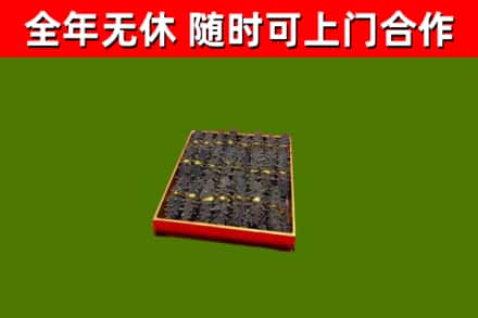 临淄回收海参